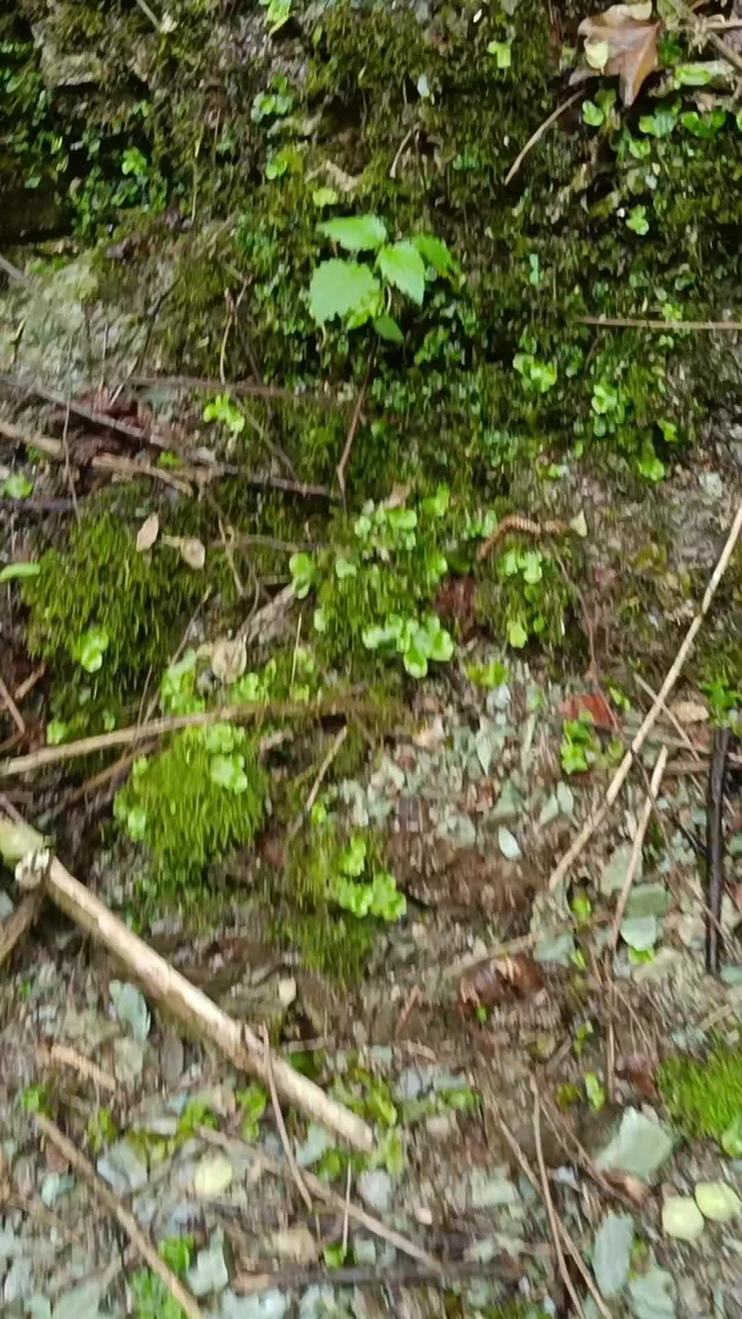 @kdsmcx