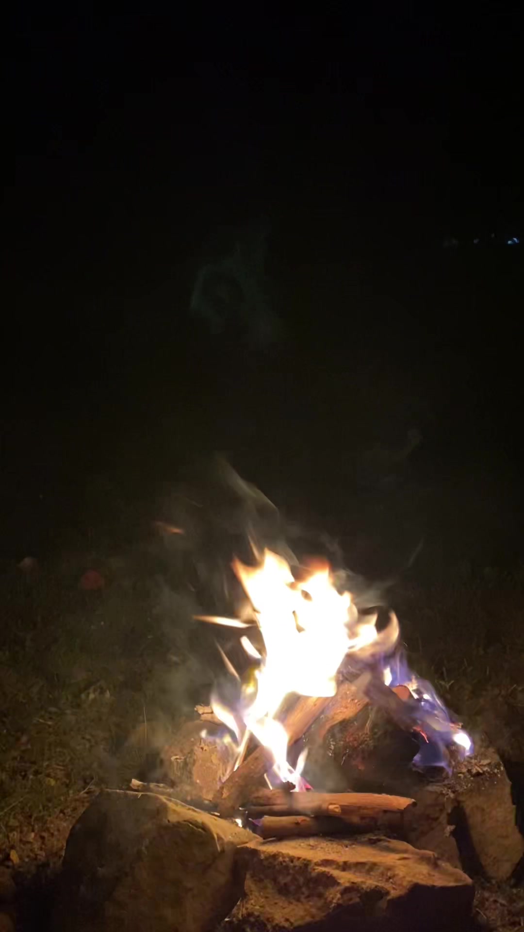 @Doğa Ajandası