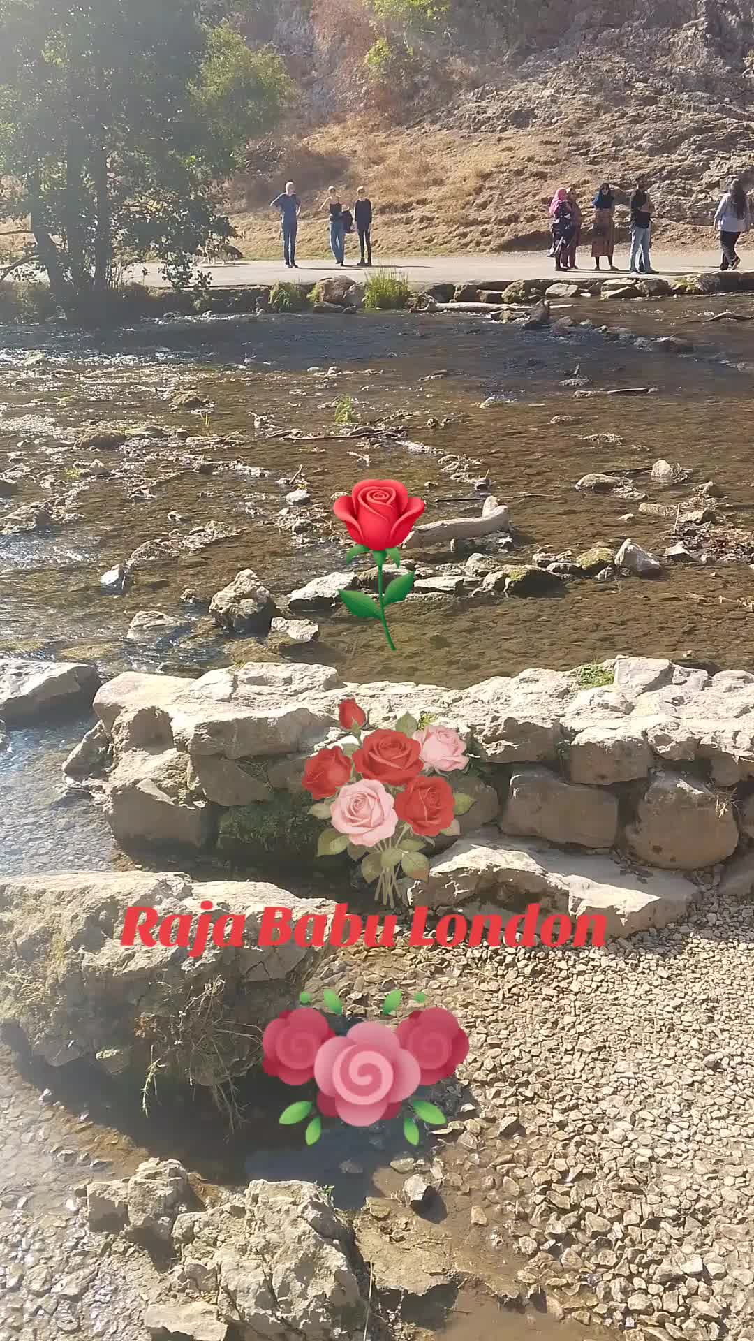 @raja 786babu