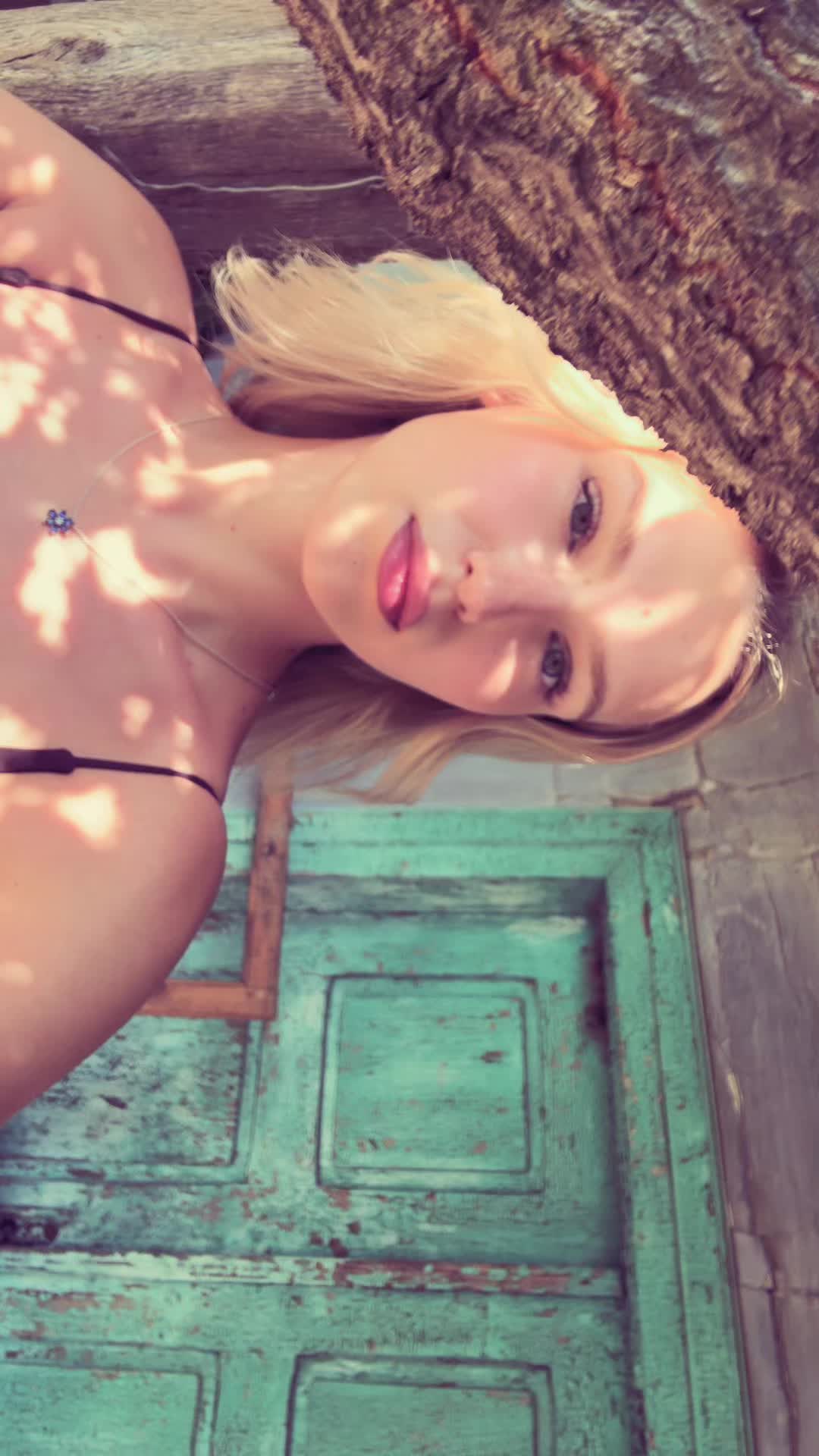 @bbdary