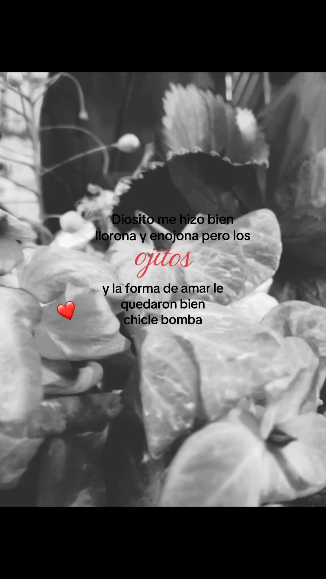 @𝓔𝓿𝓮.ᥫ᭡🌷