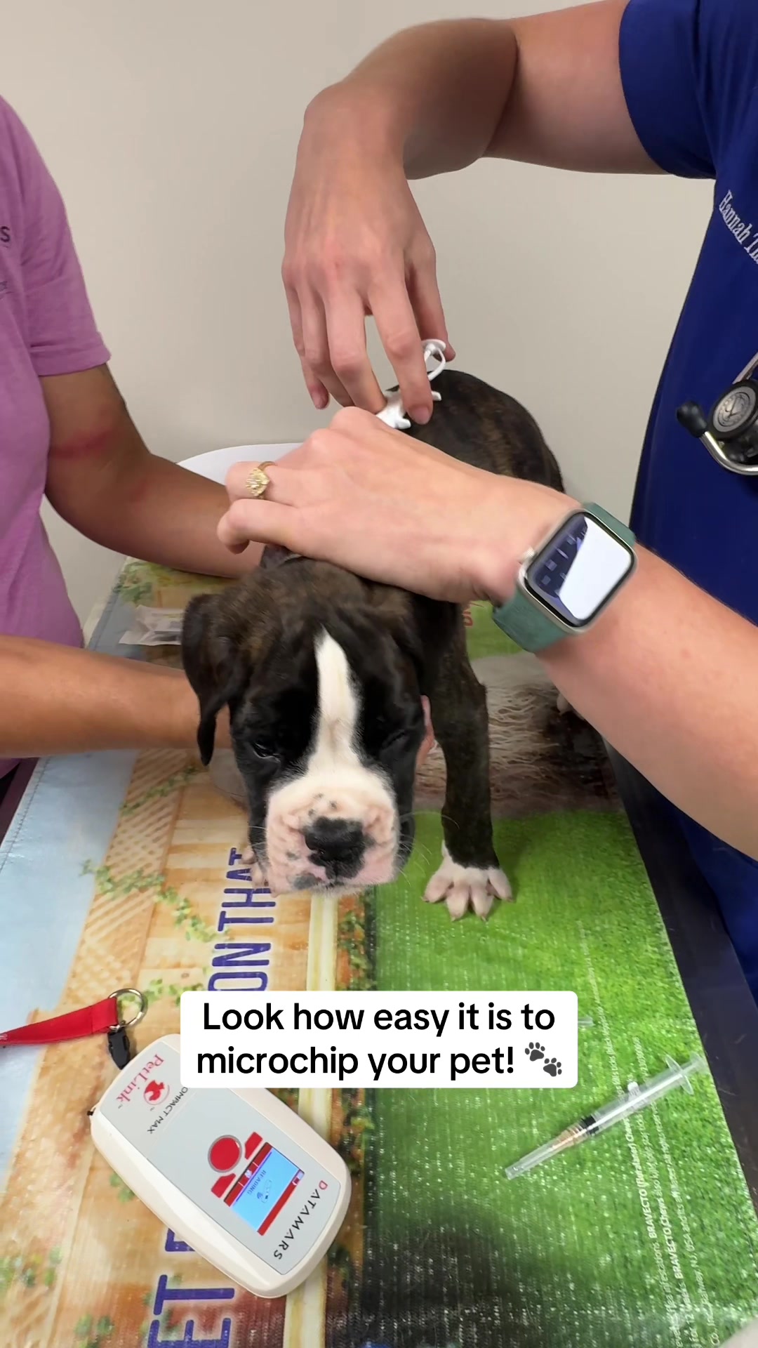 @Snodgrass Vet