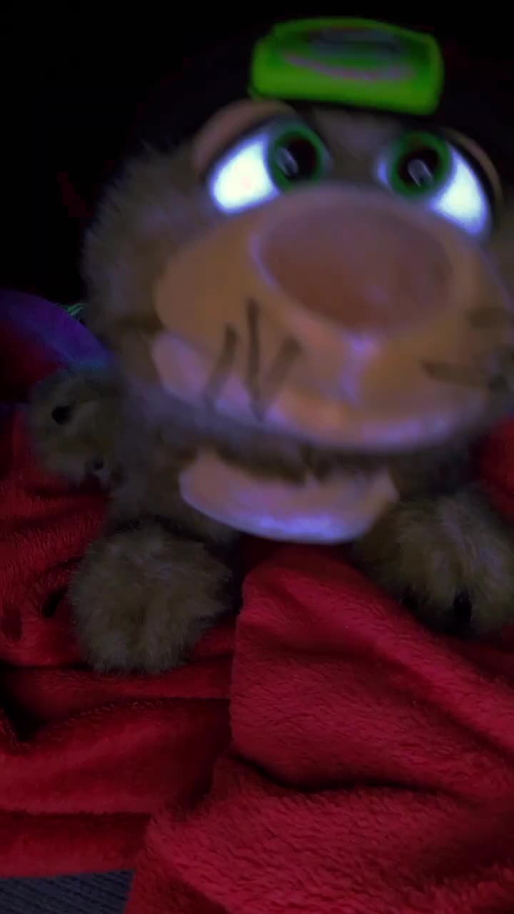 @Rocko-DerWolf