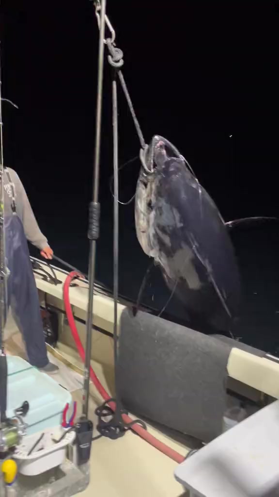@🛳️h&agrave;m&igrave;d&oslash;⚓⚡R&aelig;ys&euml;🐬🏴&zwj;☠️