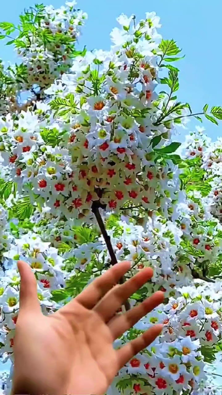 @💍🎆வானவில் 🏆ஏழு 🎆வண்ணம்💍
