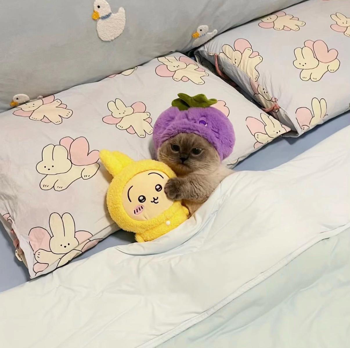 @xiaojie