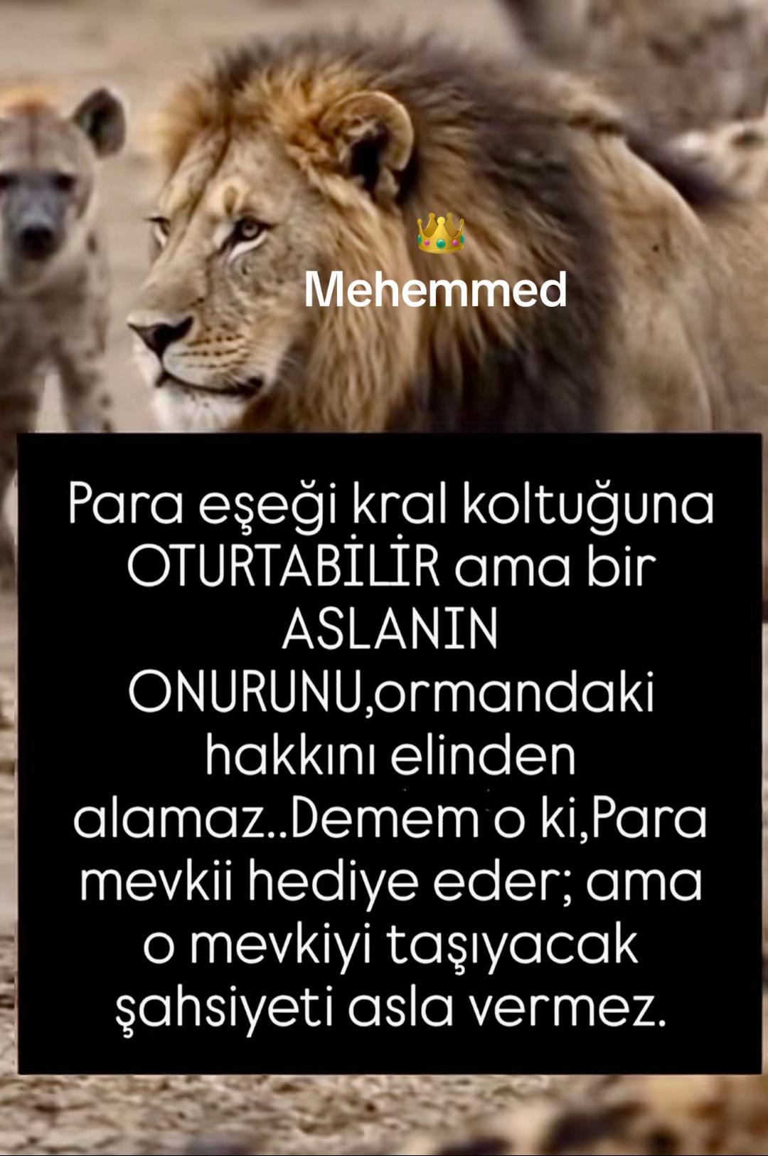 @O Shamo  B&uuml;nyamin/ Mehemmed