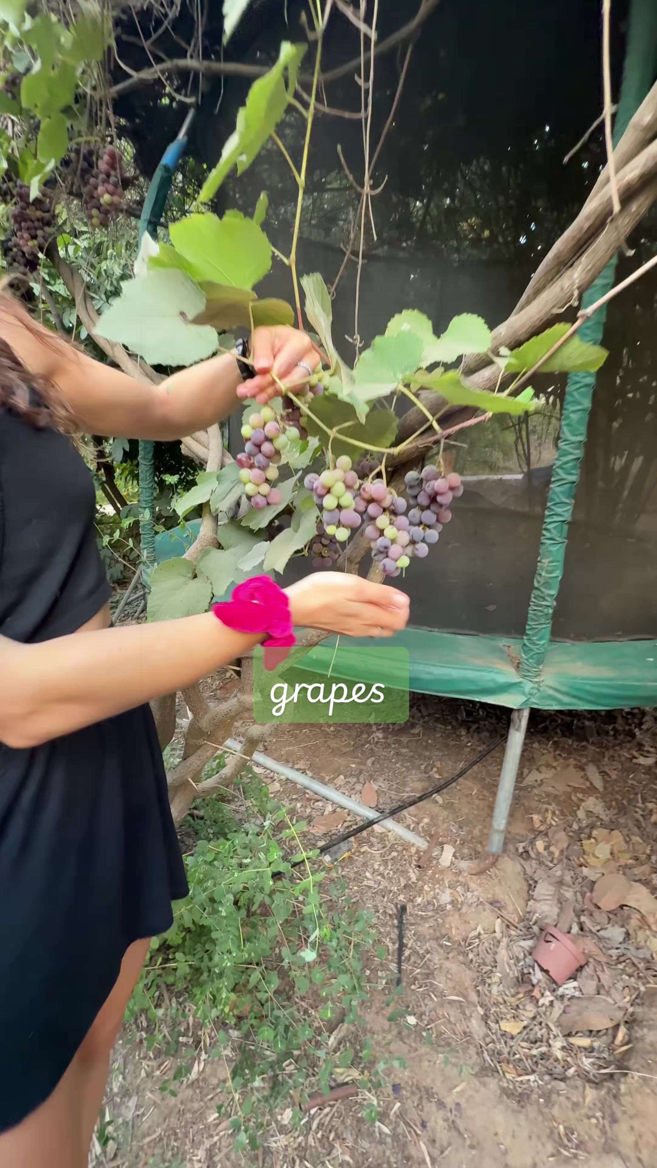 @growithjessie