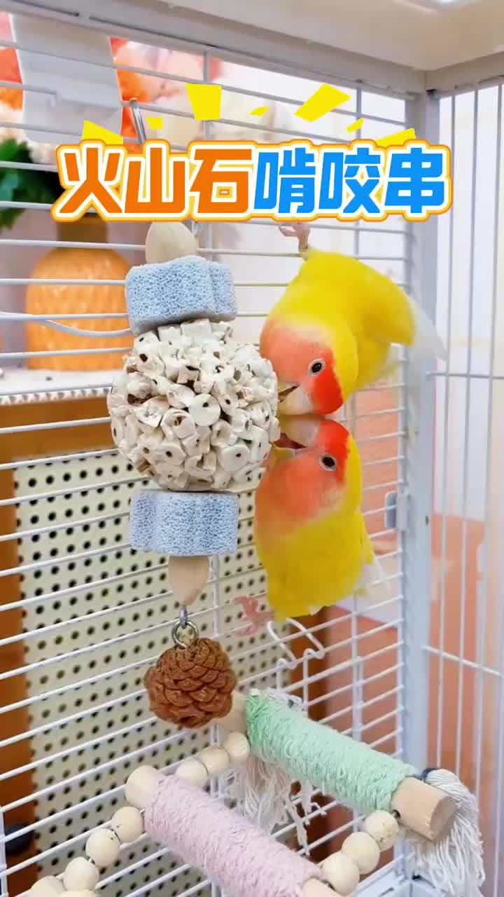 @chinabirds47