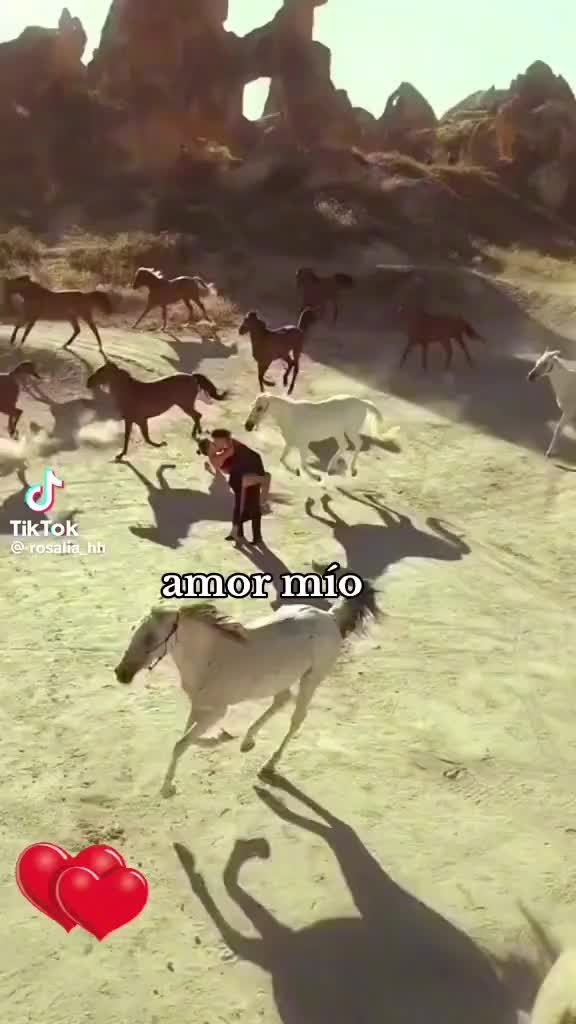 @Alen Kupre&scaron;ak