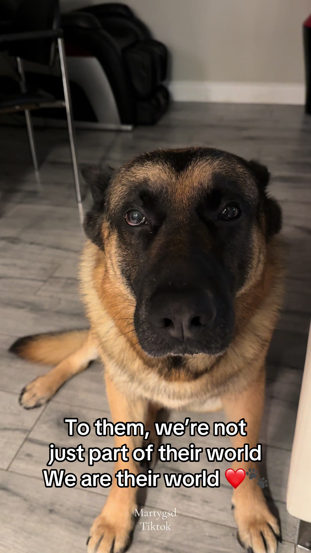 @Martygsd