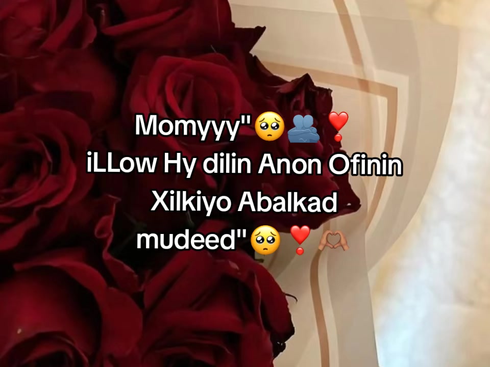 @Abeer___j