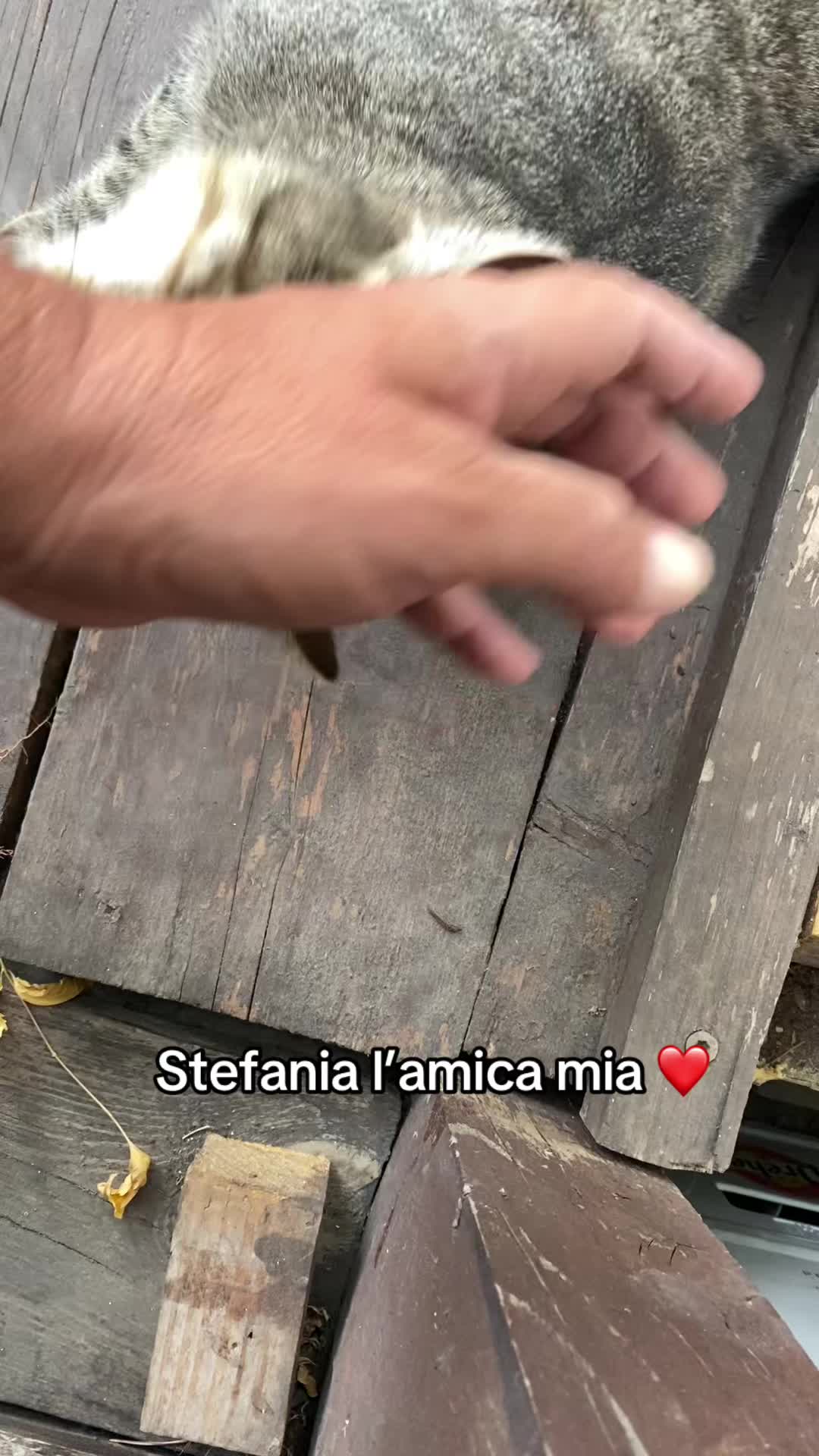 @Francesco Andriola Gee