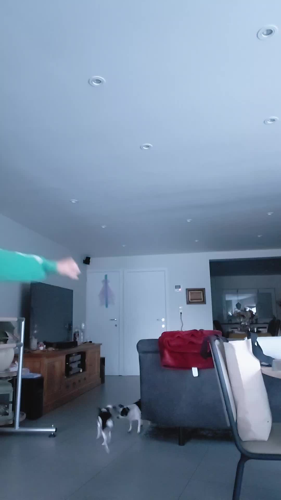 @marlonendebbyenamyvan