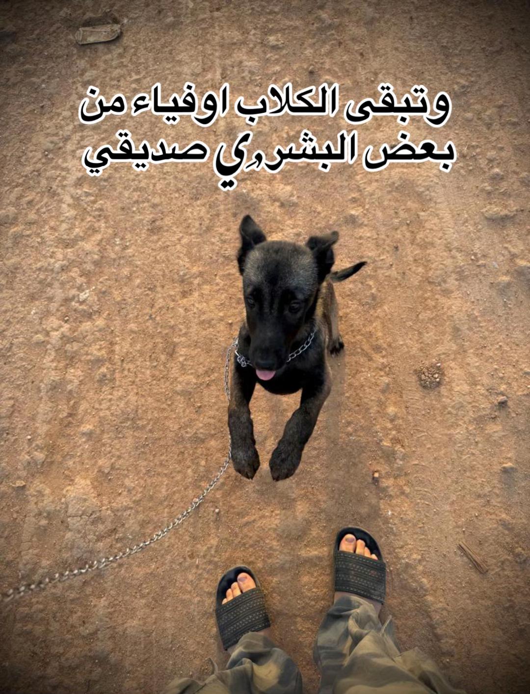 @﮼ِالحنش 🩸🐍