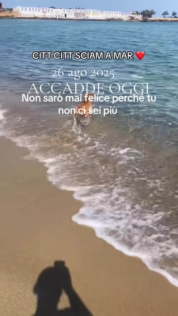 @Francesco Andriola Gee