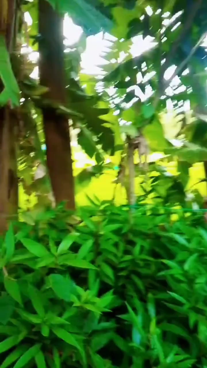 @,,,,,,🌸আদিবা ইসলাম🌸 ,,,,,