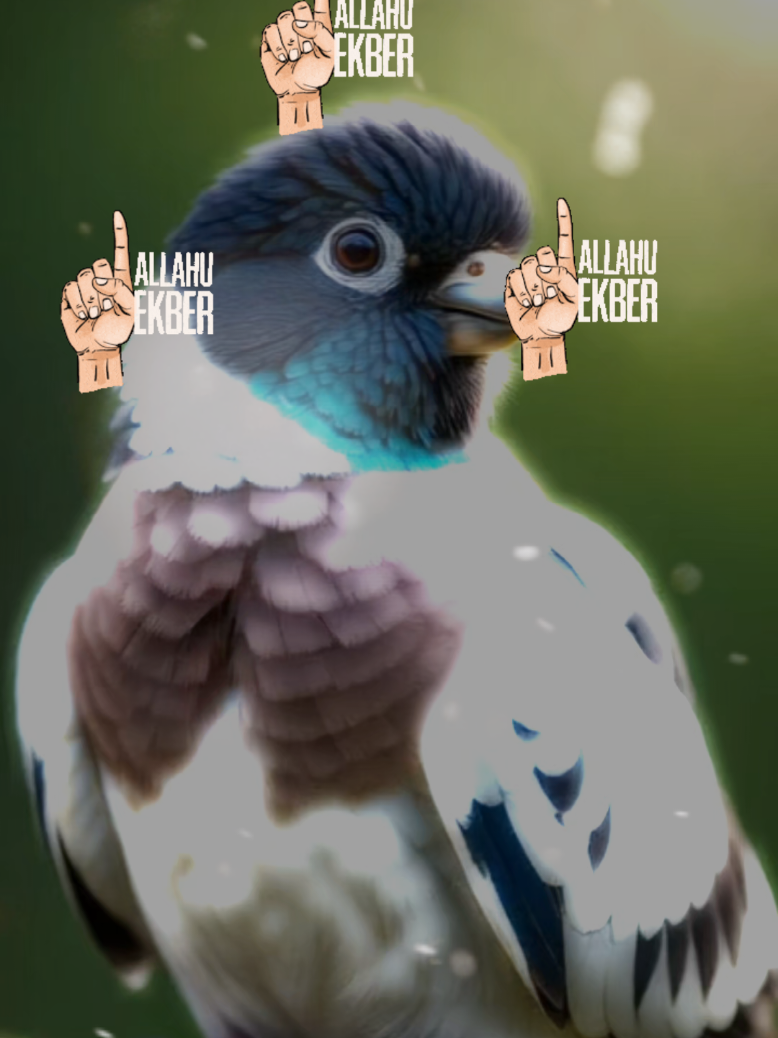 @gelincik İlahi Diyarı 🎶