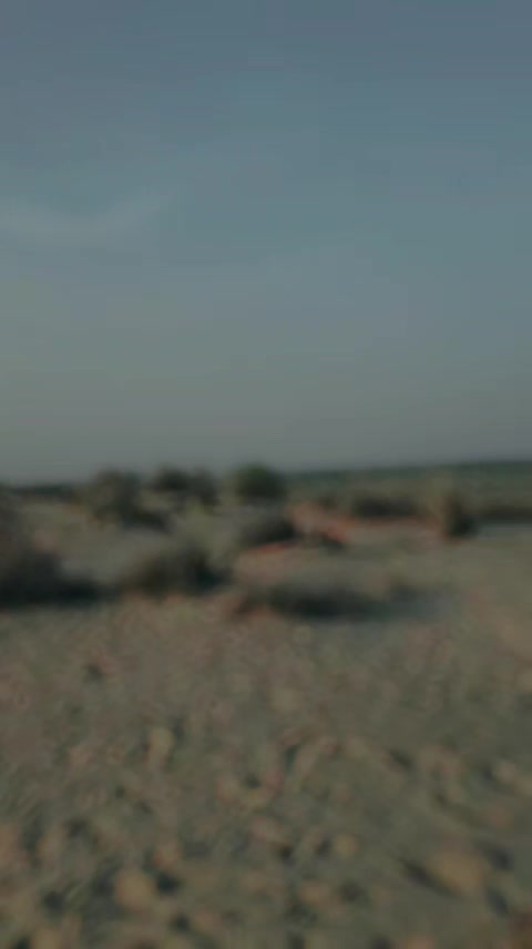 @jahanzab