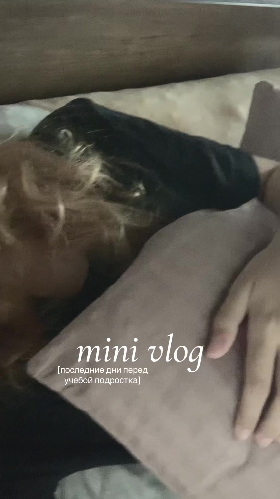 @‧₊˚┊hiromi - ひろみ ୭ ! ☕️