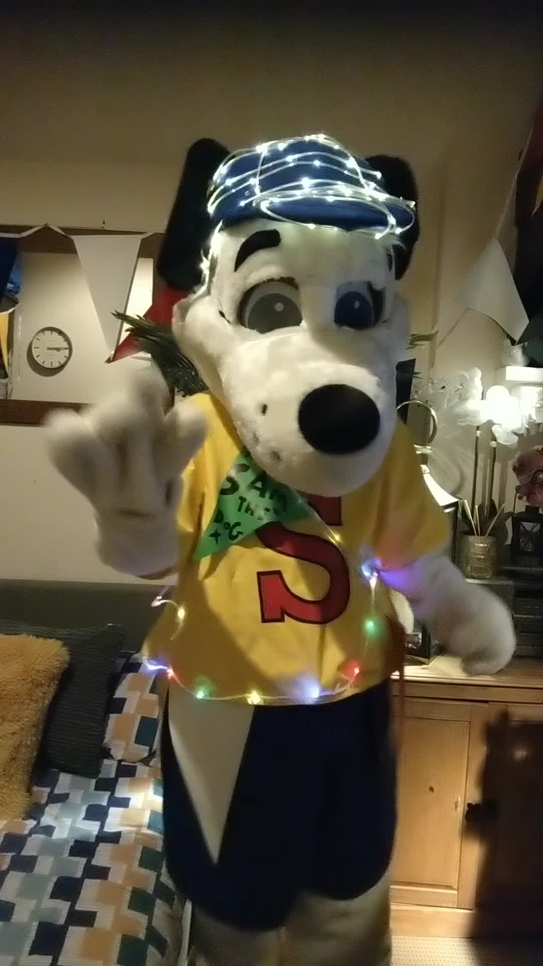 @Mascot Dan