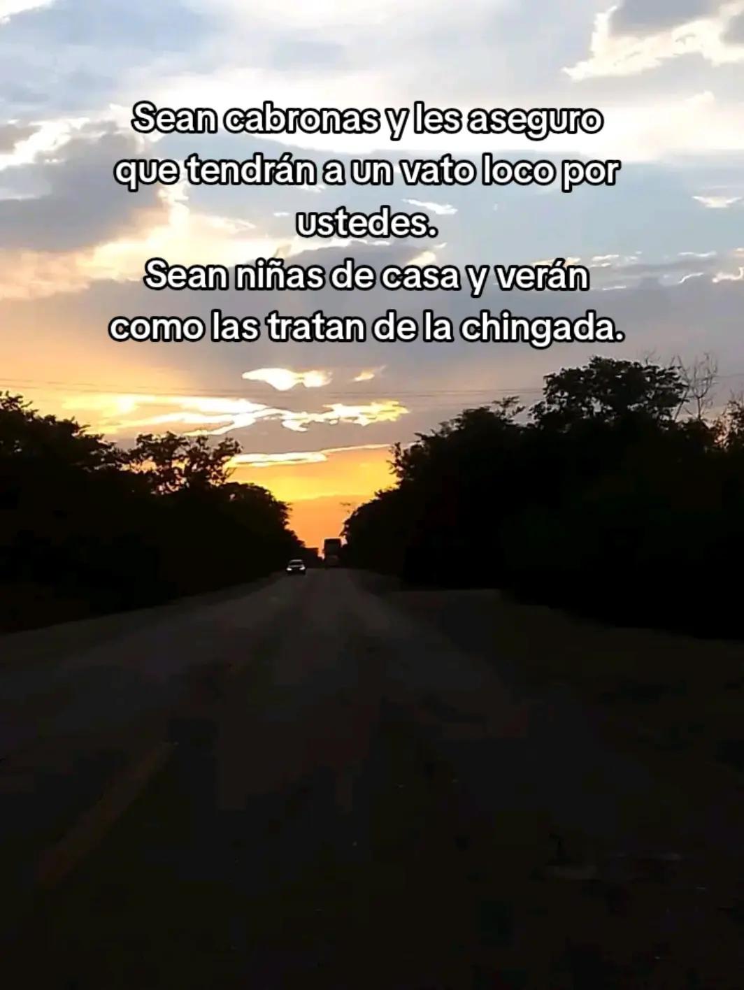 @✨️🌸Luz🌸✨️