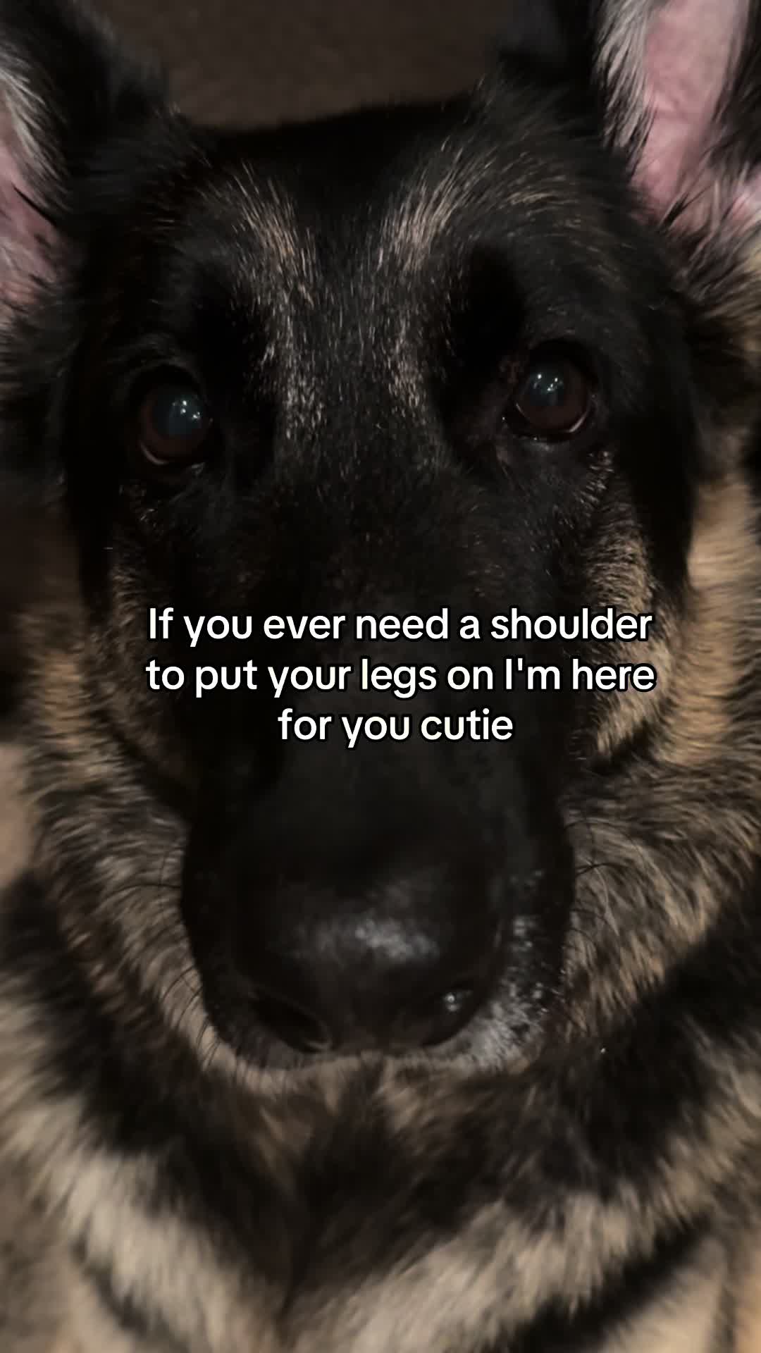 @Bhris