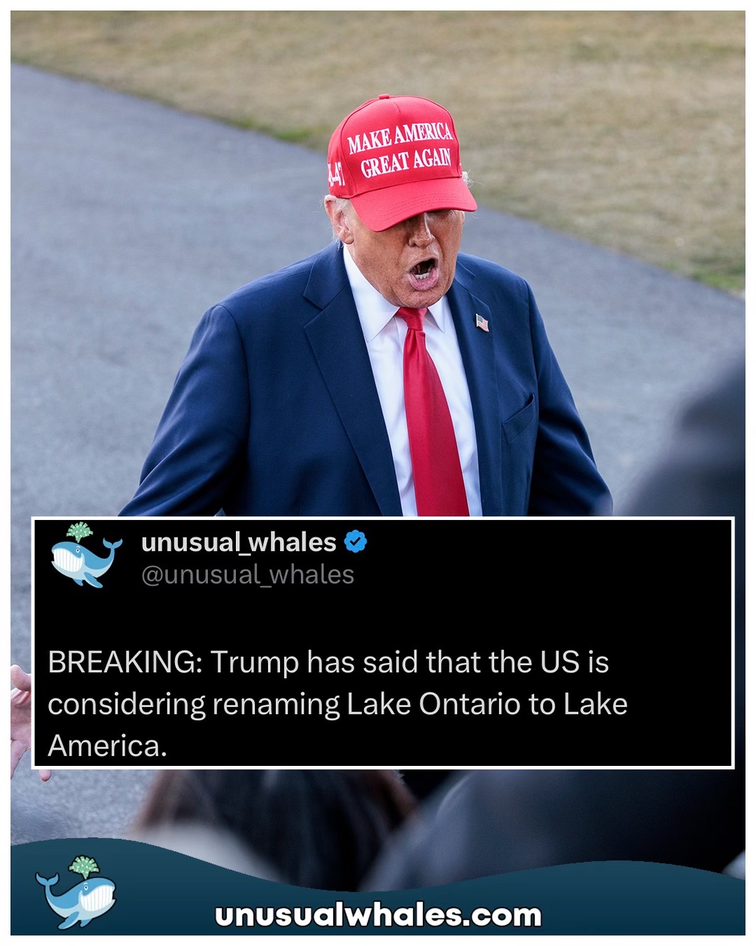 @Unusual Whales