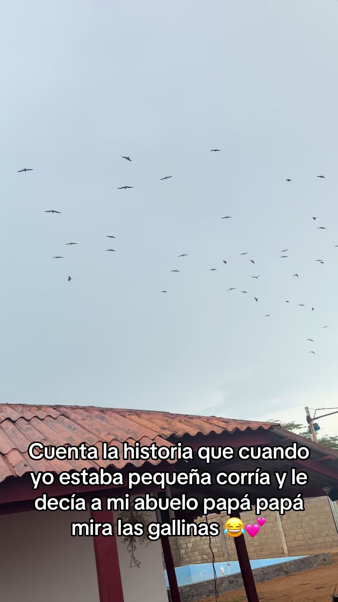 @Day paz