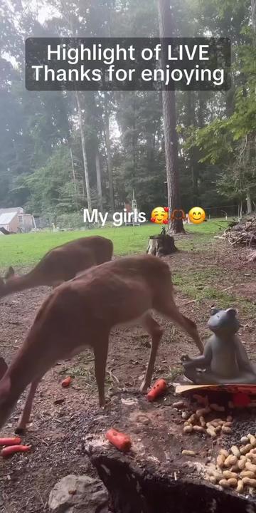 @Sanitylane