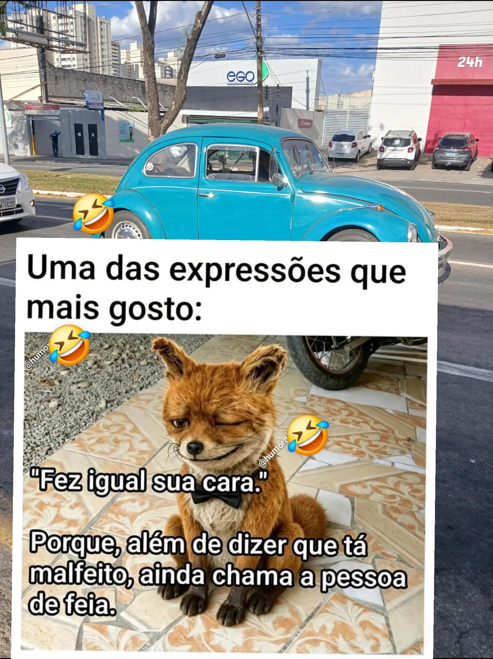 @humor da C&eacute;lia 🤣