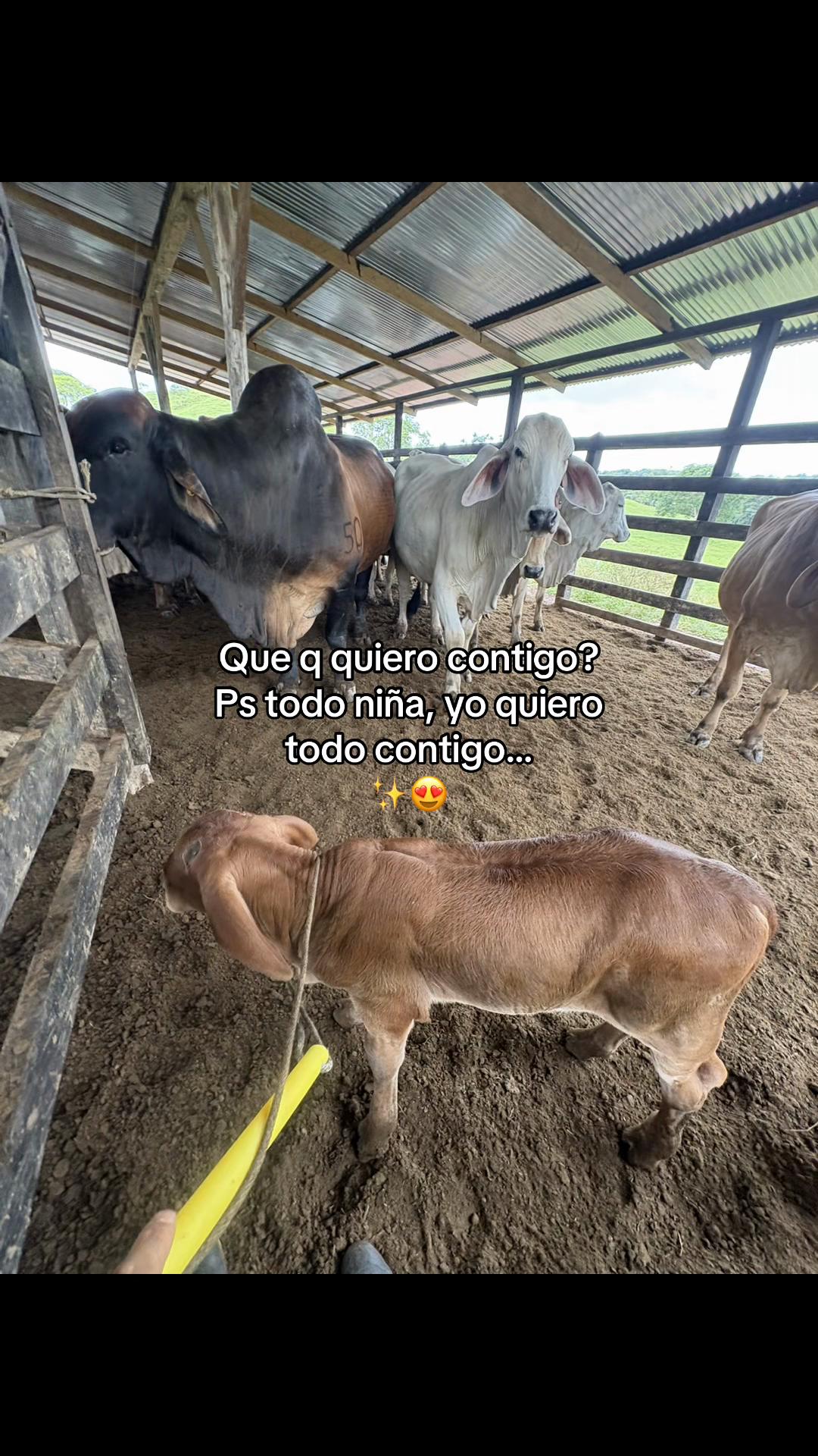 @Didier_🤠