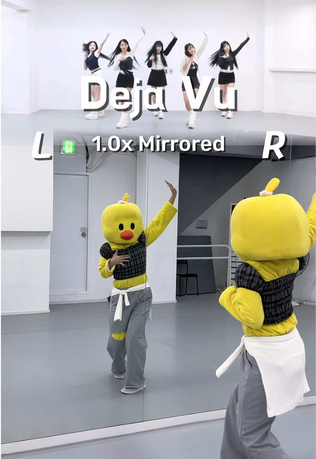 @댄싱꽥꽥