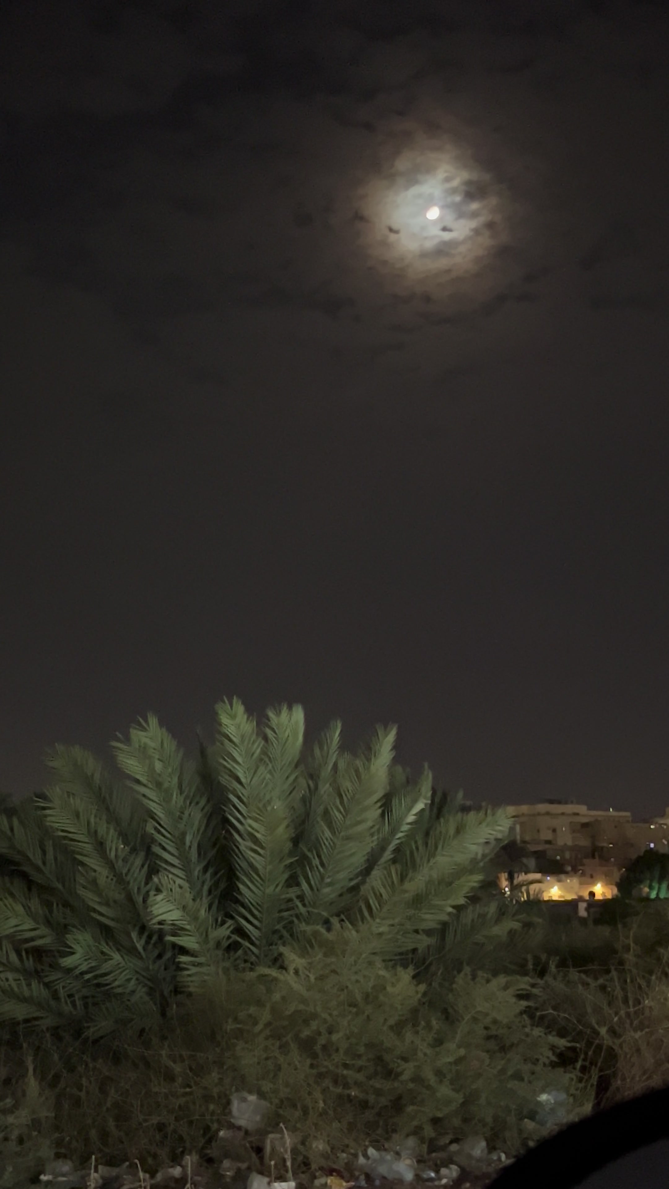 @فيصل الحربي📸📲.
