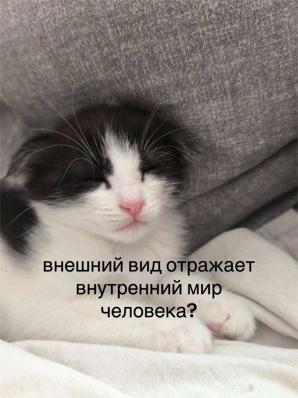 @user25461626392