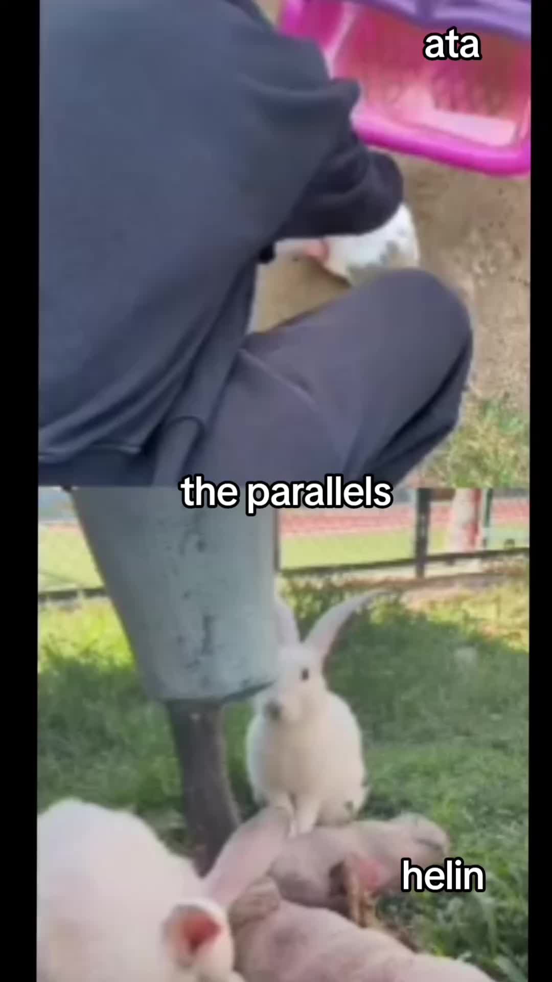 @dania