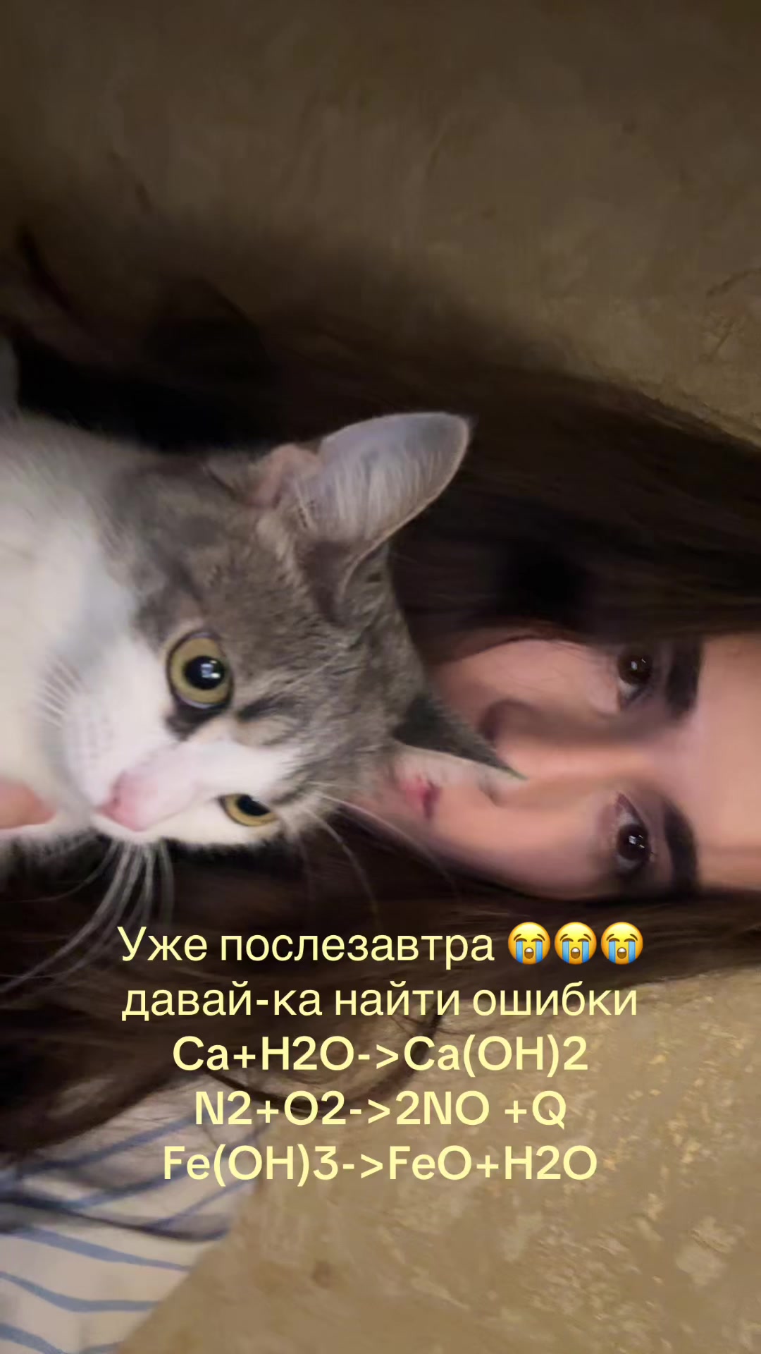 @aimooo
