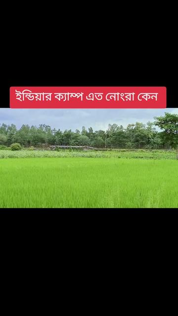 @মানবতার ফেরিওয়ালা 567