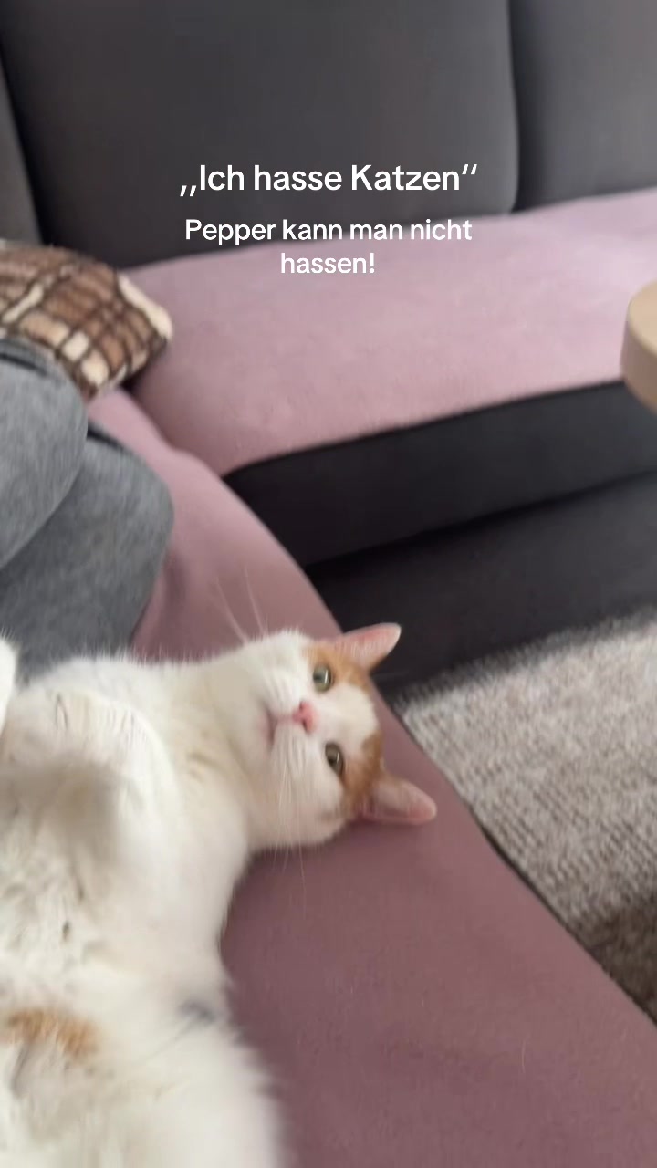 @𝑁𝑎𝑛𝑐𝑦💞