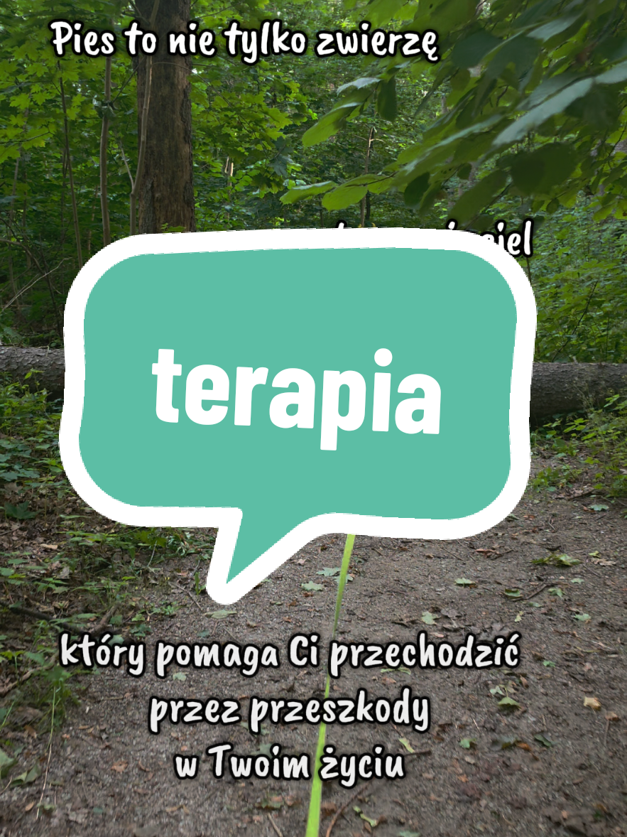 @dziewczyna_z_wilkiem