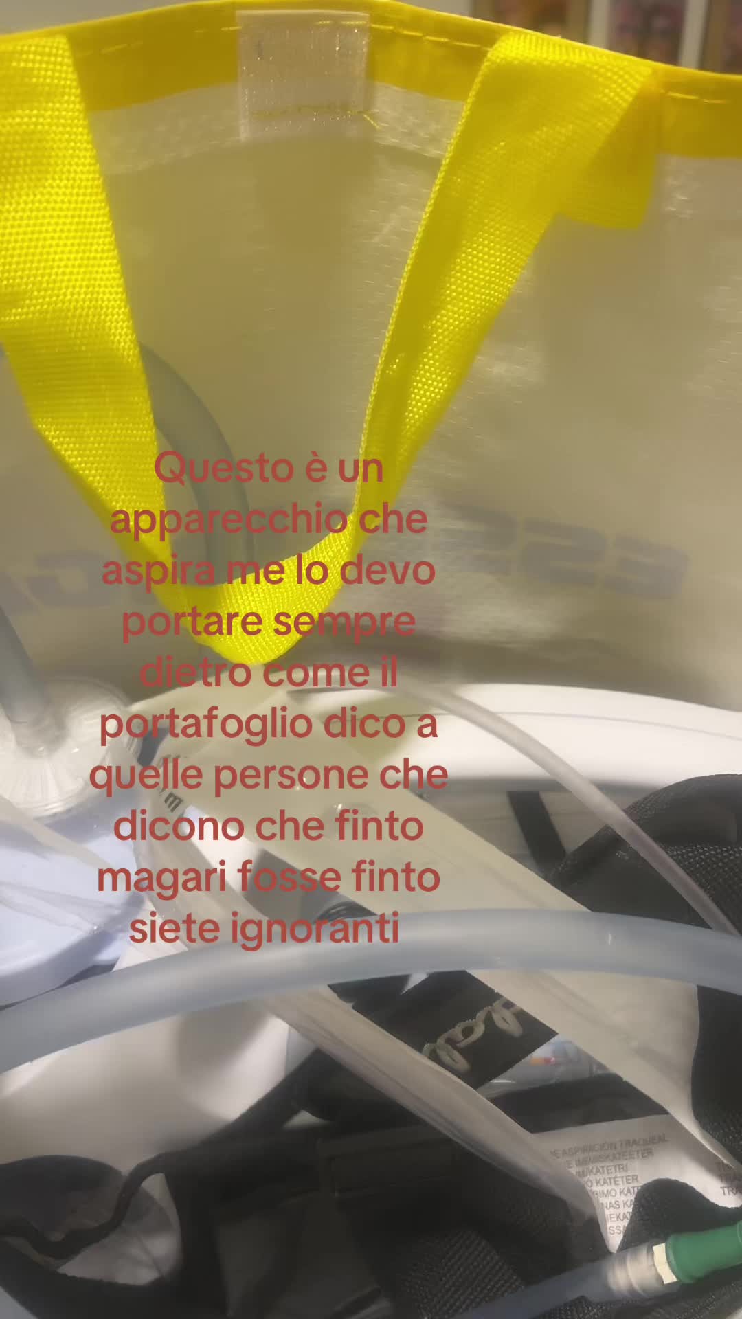 @La Regina di Tik Tok