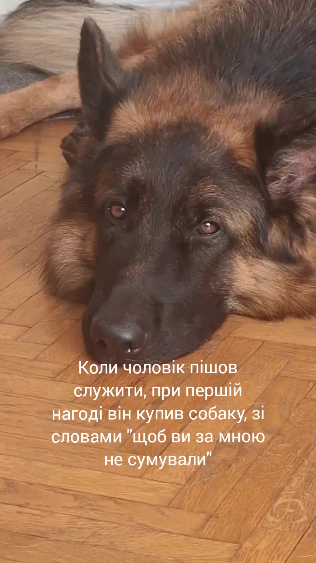@МАТЬ ДРАКОНІВ🤣