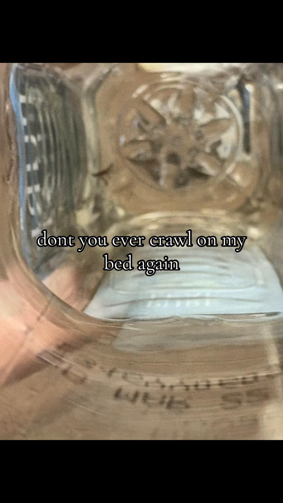 @average human