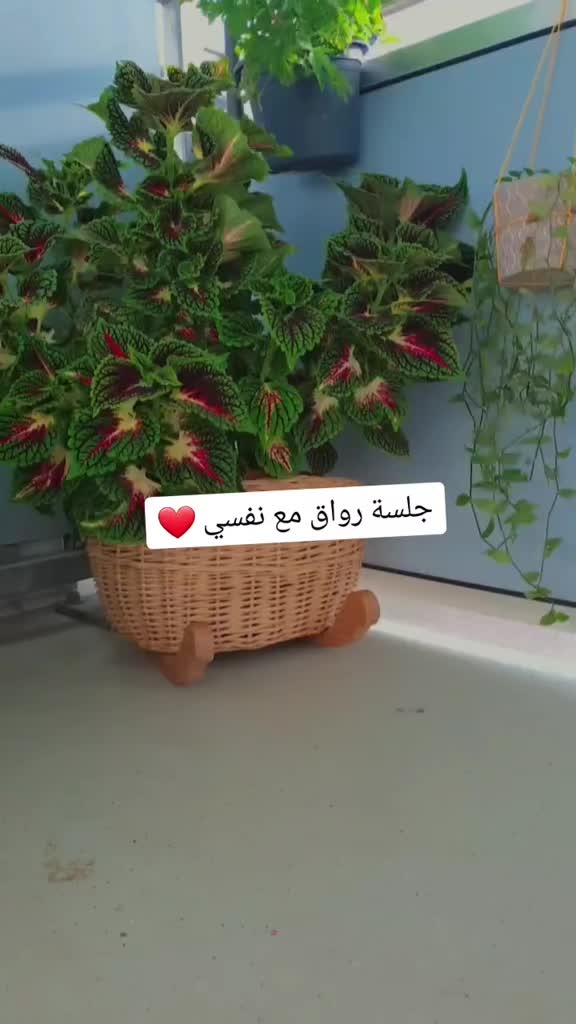 @ghofran8494