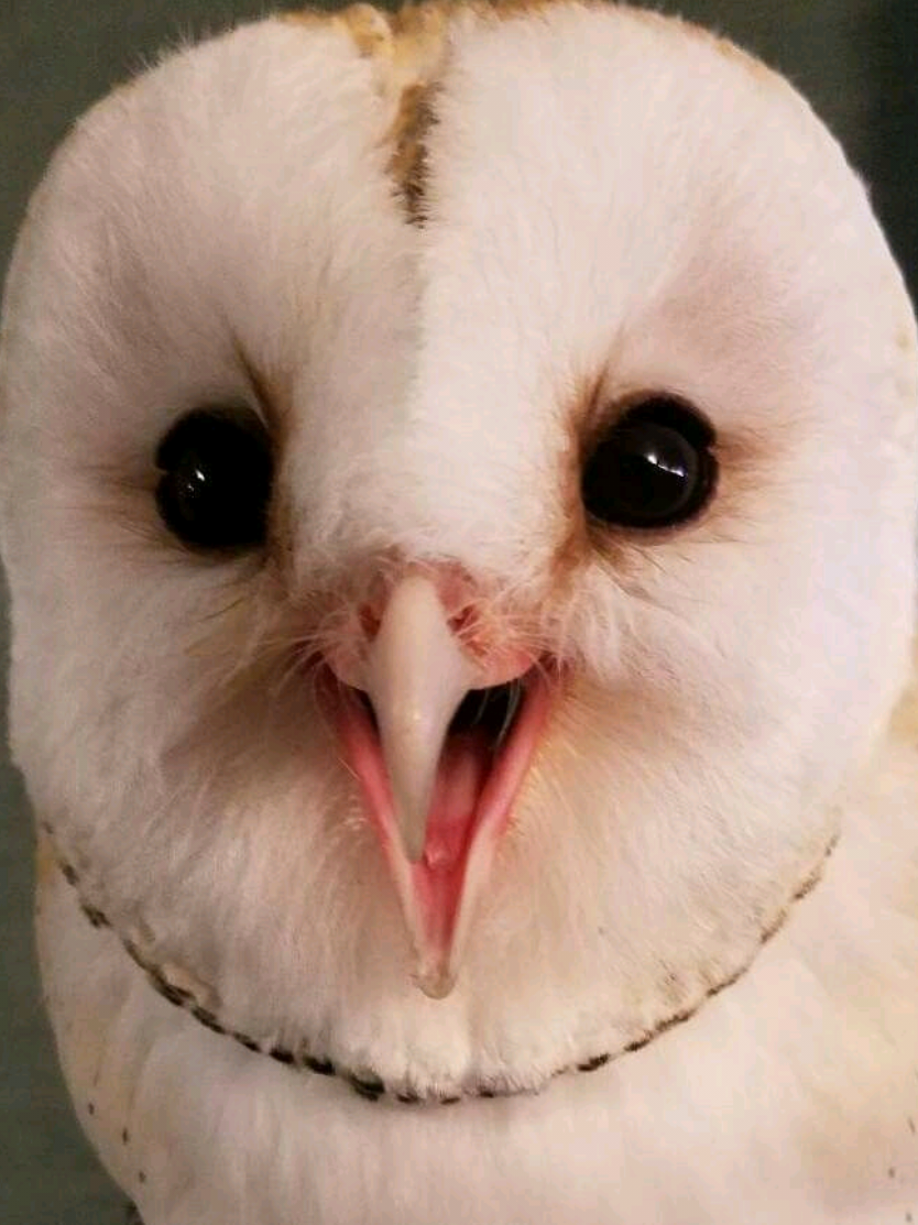 @๐ฝ๐ฃ๐๐๐ ๐
