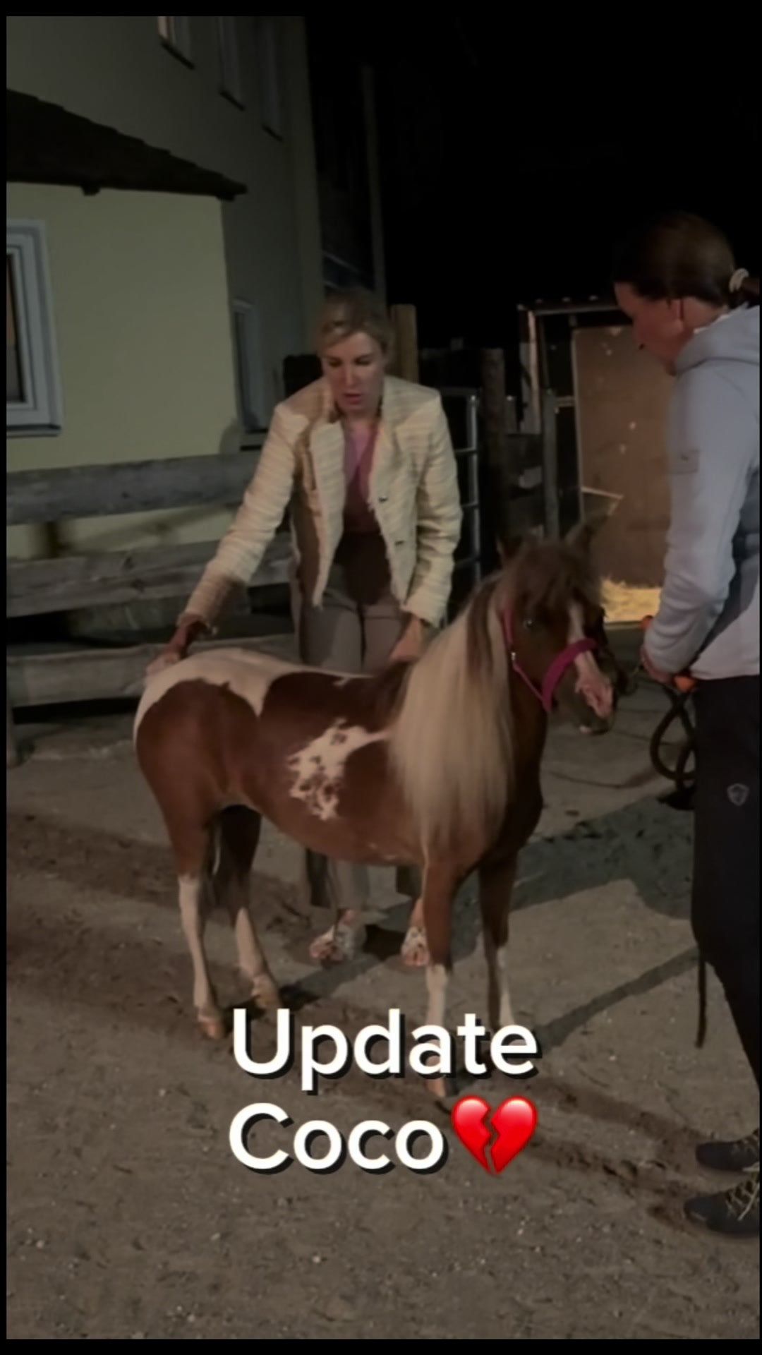 @julia_libertyhorses