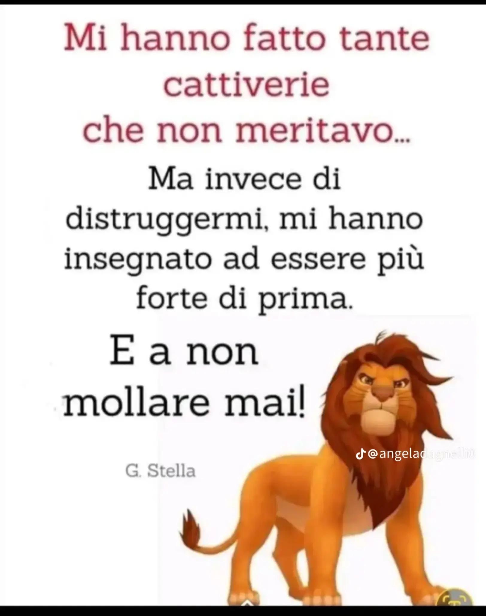 @👑Vincenzo il malessere 👑