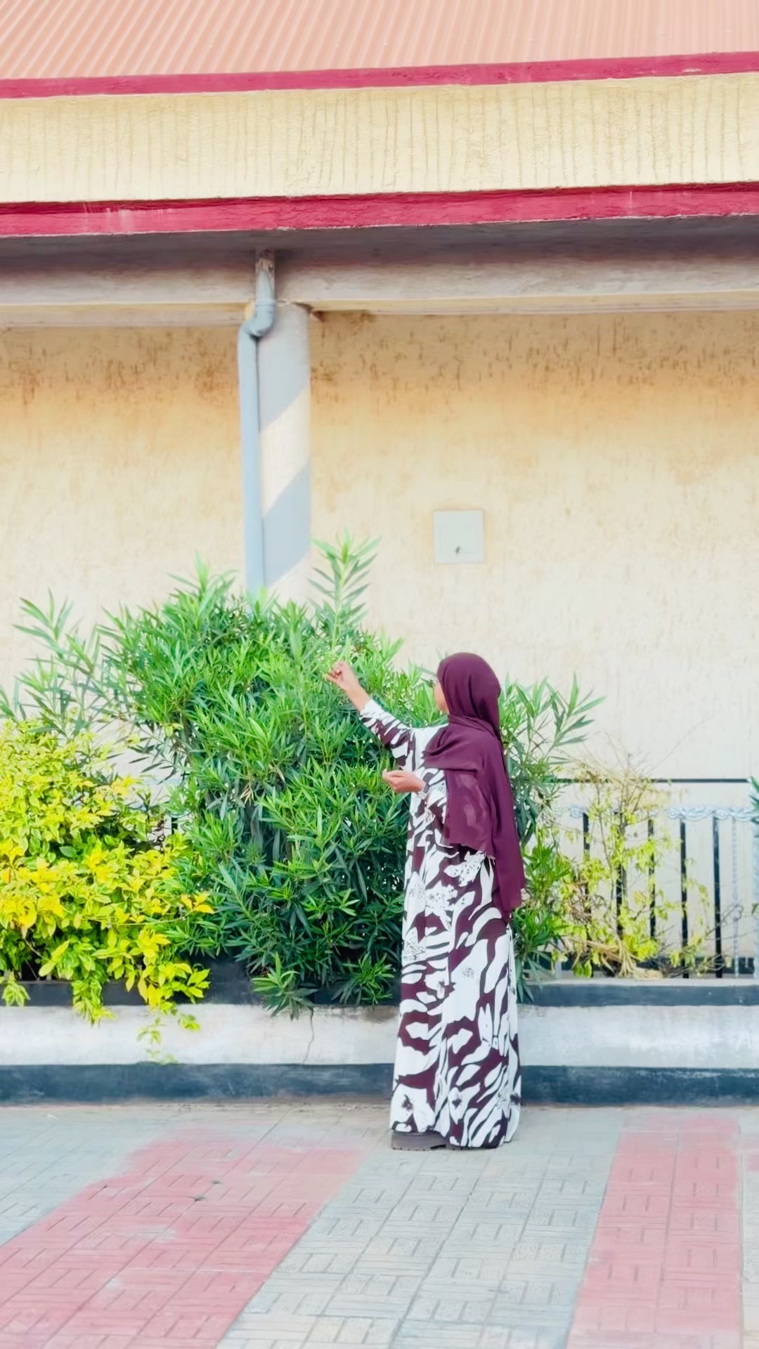@Hidda-dhawra👸🤍
