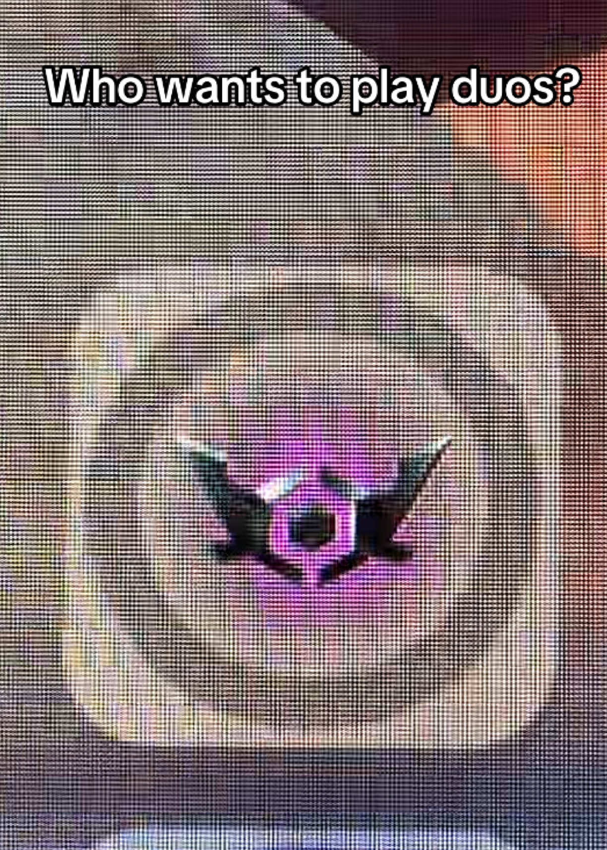 @fortnite topic unofficial ✓⃝