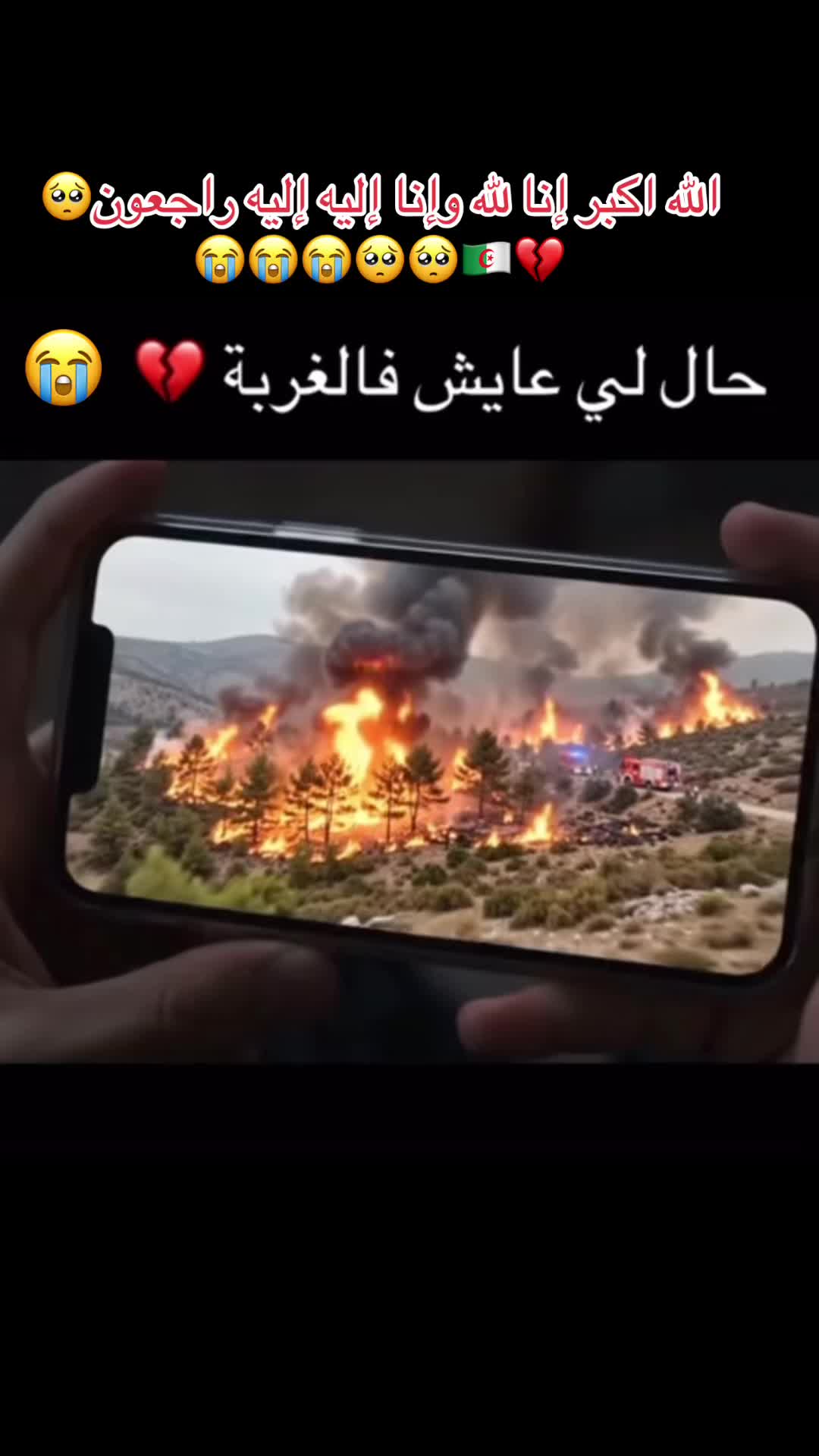 @𝐁𝐈𝐍𝐆𝐎UZ🇫🇷 لجيجلي75 🇩🇿